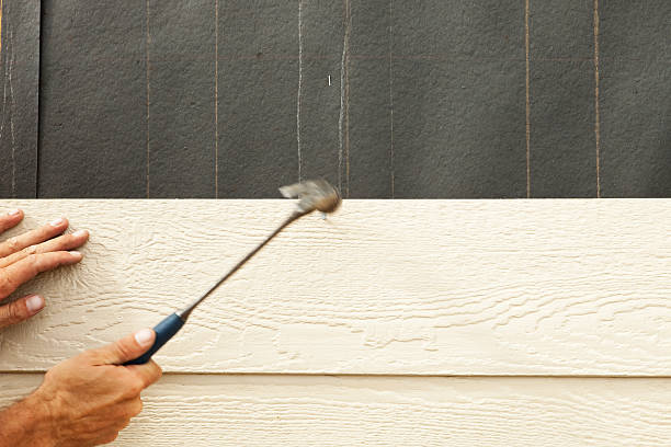 Best Vinyl Siding Installation  in Chipley, FL