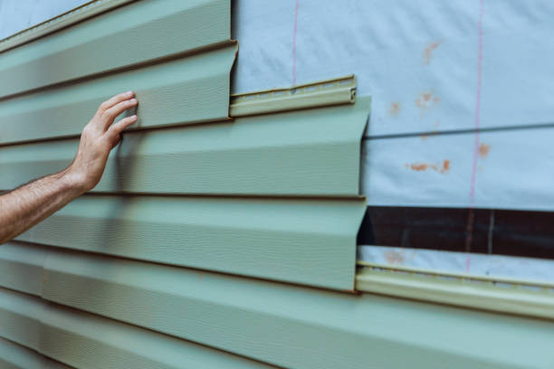 Best Siding Painting and Refinishing  in Chipley, FL