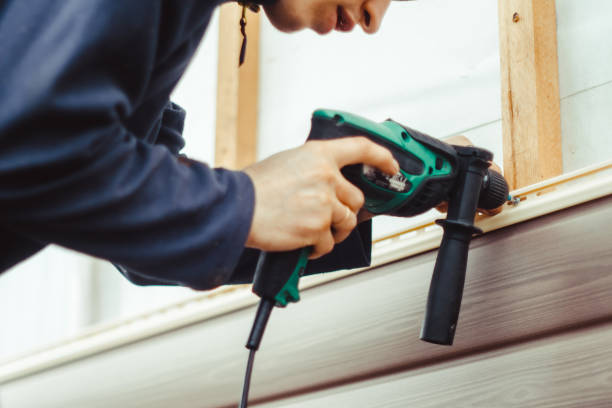 Best Custom Siding Design  in Chipley, FL